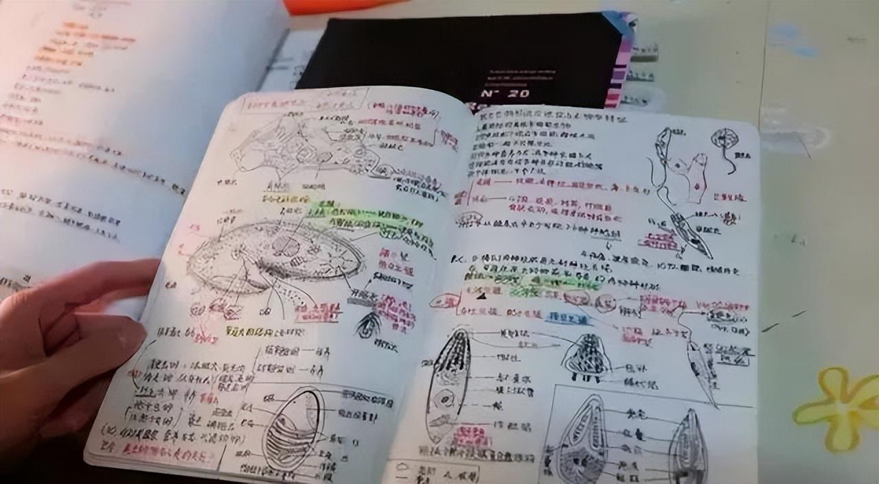 湖人连曝4条消息！篮网4年1.78亿挖角里夫斯有超10队找41岁詹姆斯