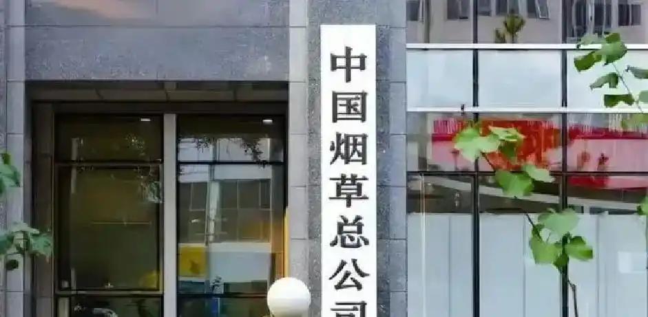 熊猫体育-巴坎布喊话中国球迷:我是“快乐男孩”,世界杯请为民主刚果加油