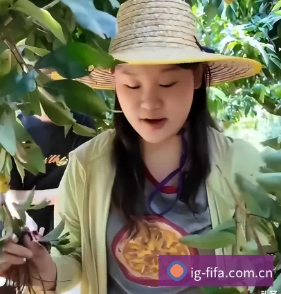 品牌诞生